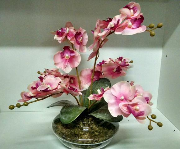 orquidea rosa claro